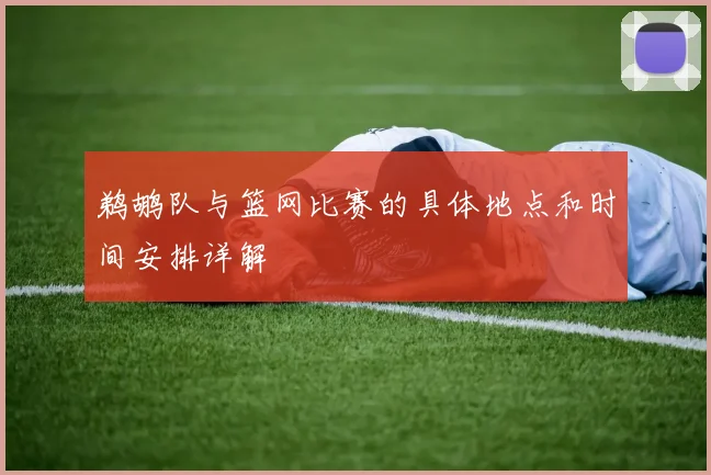 鹈鹕队与篮网比赛的具体地点和时间安排详解