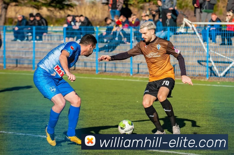 威廉希尔平台生态图