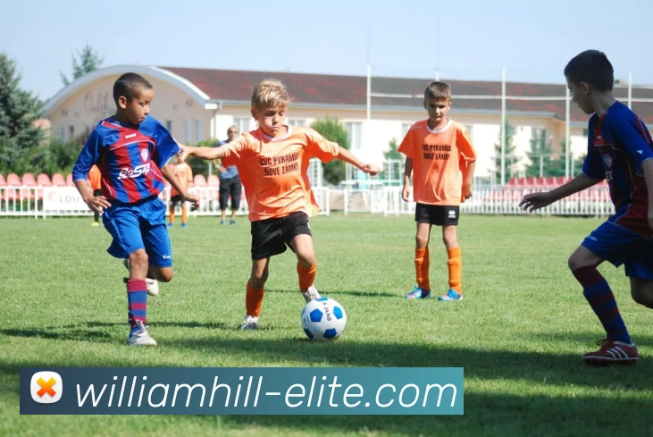 威廉希尔APP 封面图